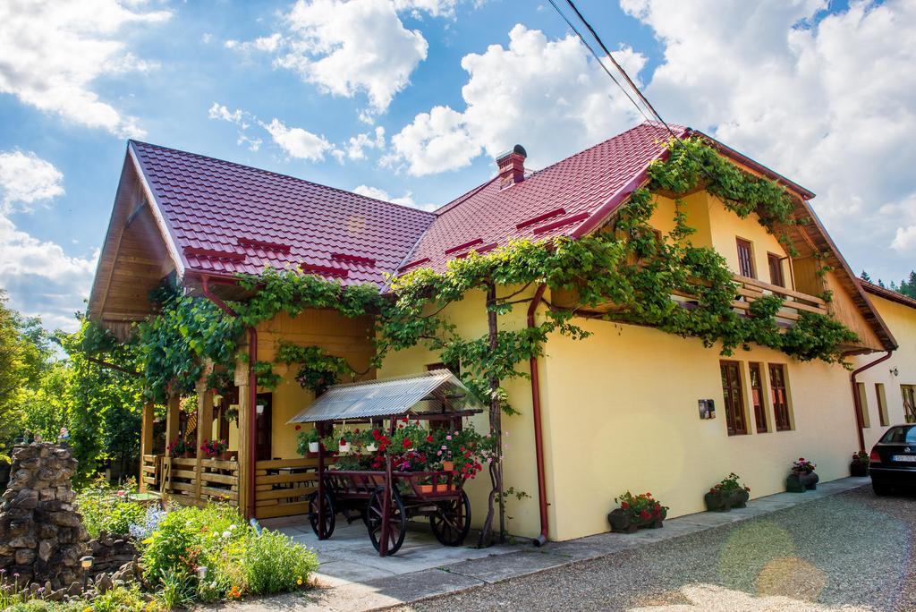 Casa Andreea Hotel Sucevita Ngoại thất bức ảnh